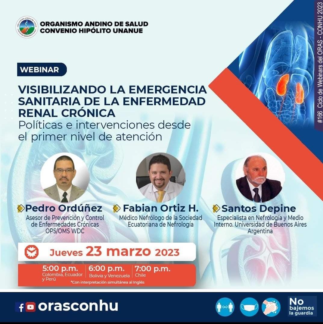 Visibilizando la emergencia sanitaria de la enfermedad renal crónica. Políticas e intervenciones